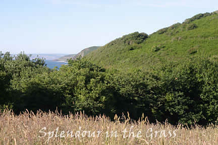 On a clear day - take a walk on the South West Coast Path/View of North Devon Heritage Coast from Peppercombe 