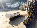 North Devon Focus - Clovelly Events