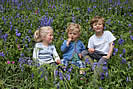 Hartland Abbey Bluebell Walks photo copyright Hartland Abbey