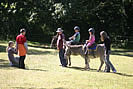 Donkey Rides at Clovelly