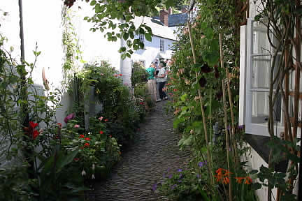 Floral delight in the tiny narrow streets