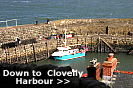 Clovelly Harbour