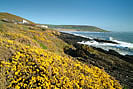 Croyde Bay from Baggy Point - Copyright North Devon AONB
