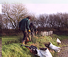 Dunsdon hedges restored photo copyright DWT