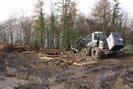 Forest cleared to create culm grassland - Steve Hussey