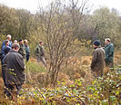 Devon Wildlife Trust