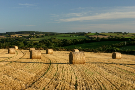 Parkham Harvest photo copyright Pat Adams