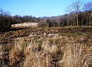 Volehouse Moor scrub clearance photo copyright Devon Wildlife Trust