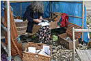 Artist at Work on a Willow Sculpture