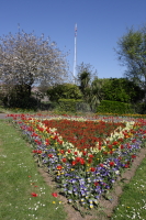 Victoria Park, Bideford photo copyright Pat Adams