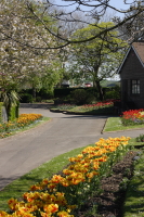 Victoria Park, Bideford photo copyright Pat Adams