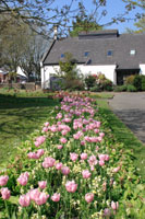 Victoria Park, Bideford photo copyright Pat Adams