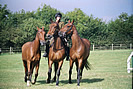 Kings Troop display Big Sheep Abbotsham 2002 photo copyright Pat Adams