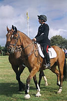 Kings Troop Big Sheep Abbotsham  2002 photo copyright Pat Adams