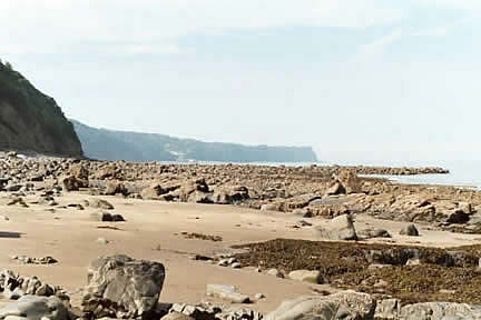 The Gor & site of the Old Quay/Looking across to Peppercombe