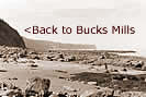 <Back to Bucks Mills Village - Site of the Old Quay, The Gor