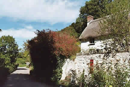 Emily's Cottage/Bucks Woods