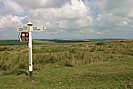 Bursdon Moor, Hartland Peninsula