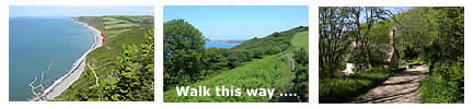 South West Coast Path - Peppercombe to Bucks Mills