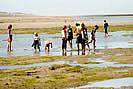 Crabbing at low tide