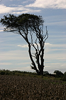 Alwington A39 Landmark photo copyright Pat Adams