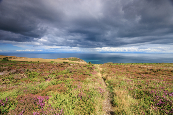 Foreland Point, Exmoor. Photo copyright Pat Adams North Devon Fccus