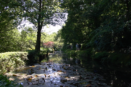 Docton Mill  Pond photo copyright Pat Adams