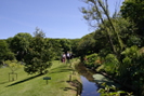 Docton Mill Gardens June 2008 photo copyright Pat Adams