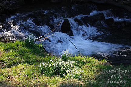 Abbey River, Hartland Abbey