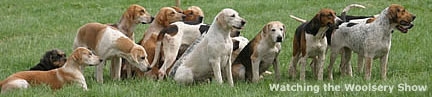 Watching the Woolsery & District Agricultural Show