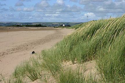 Sandhills at Instow