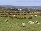 Farmland beside the Tarka Trail photo copyright Pat Adams