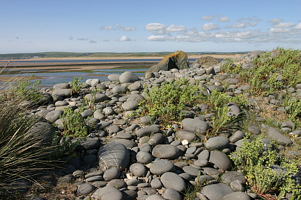 Torridge Estuary Photo copyright Pat Adams North Devon Focus