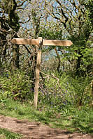 1/½miles<Bucks Mills - Northway - Peppercombe> 1 mileSouth West Coast Path