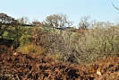 Falling down - farmland sloping down the valley