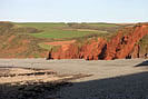 Peppercombe - Red Cliffs at Portledge