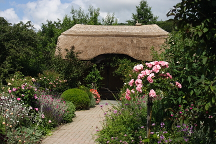 Rosemoor Garden photo copyright Pat Adams