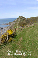 South West Coast Path waymark to Hartland Quay photo  copyright Pat Adams