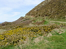 St. Catherine's Tor photo copyright Pat Adams