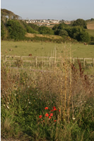 Kenwith Valley photo copyright Pat  Adams