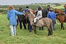 Com on the Blues - Pony Club Games